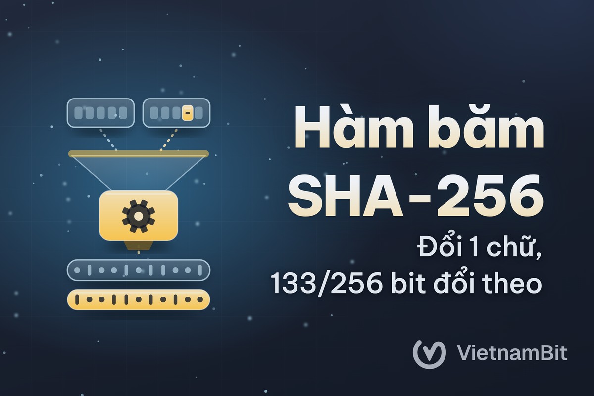 Hàm băm là gì, SHA-256 giữ an toàn cho Bitcoin thế nào?