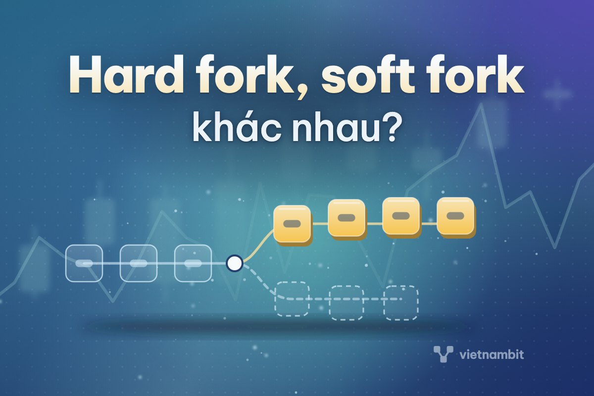 Hard fork, soft fork là gì? Khác nhau thế nào