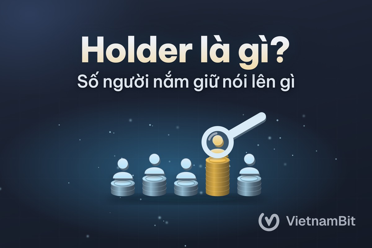 Holder là gì, số holder của một token nói lên gì?