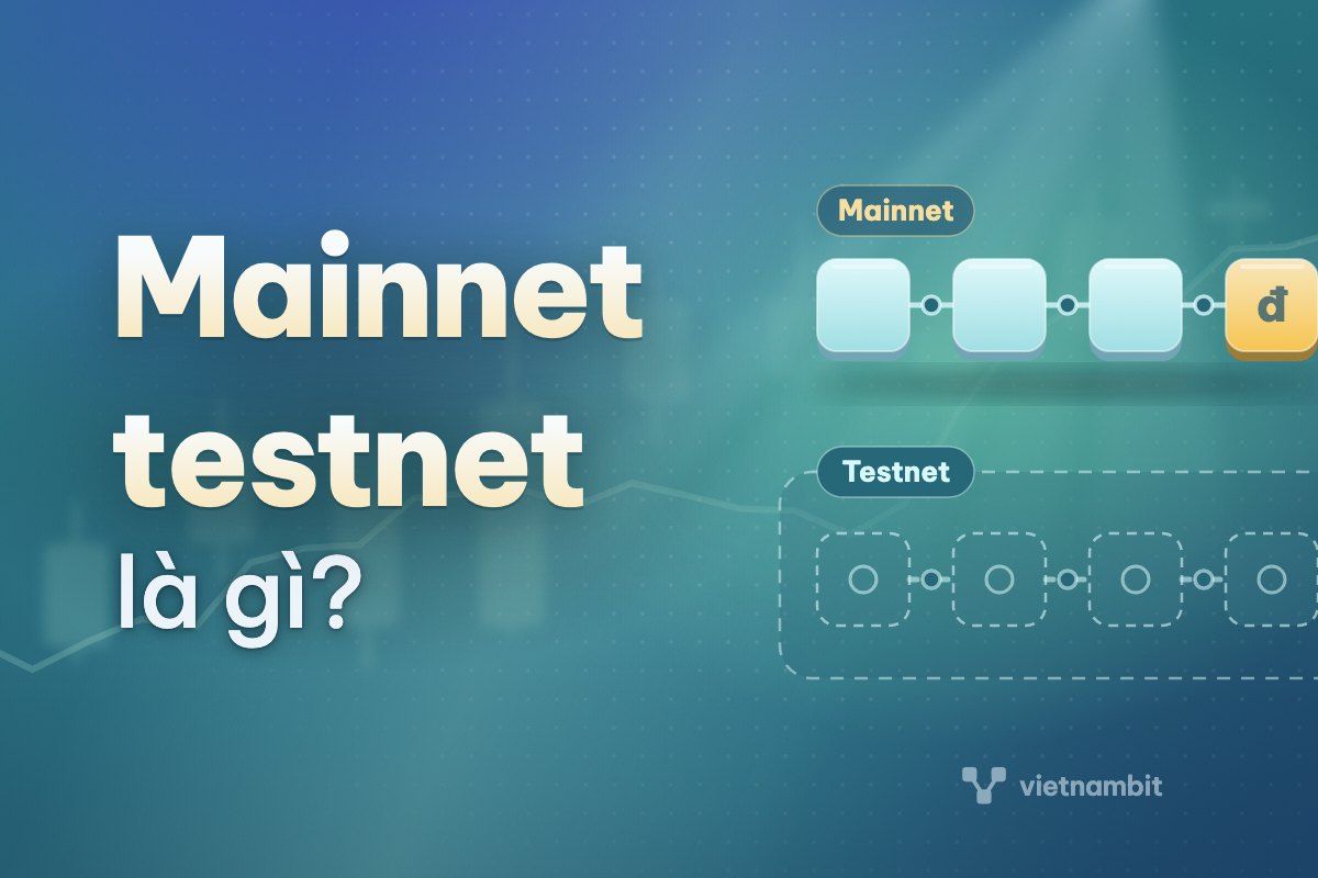 Mainnet, testnet là gì? Pi mở mainnet nghĩa là sao