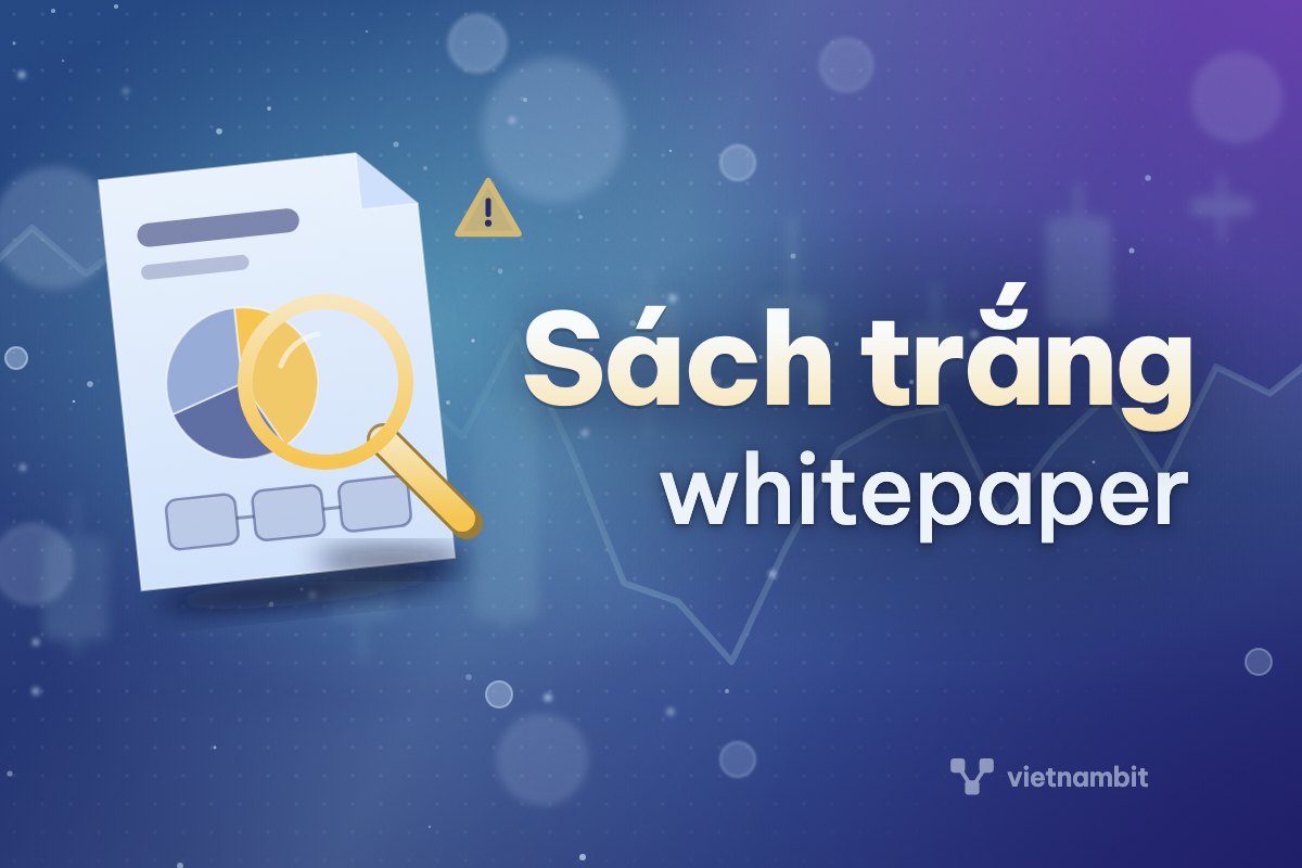 Whitepaper là gì? Cách đọc sách trắng dự án crypto